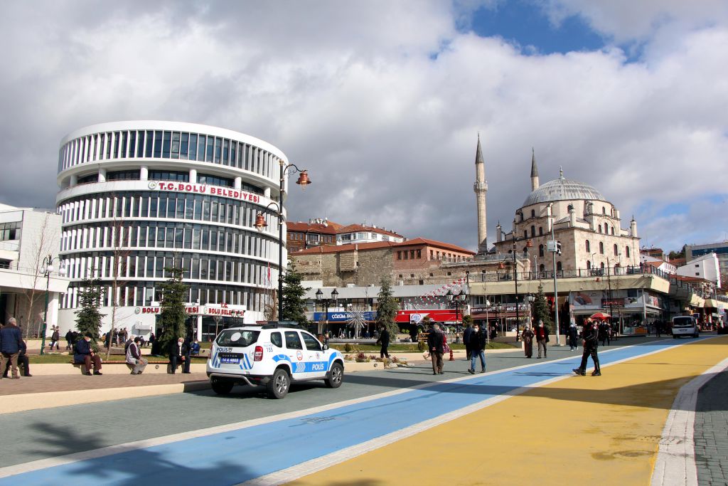 Ayı heykeli Bolu'yu ikiye böldü