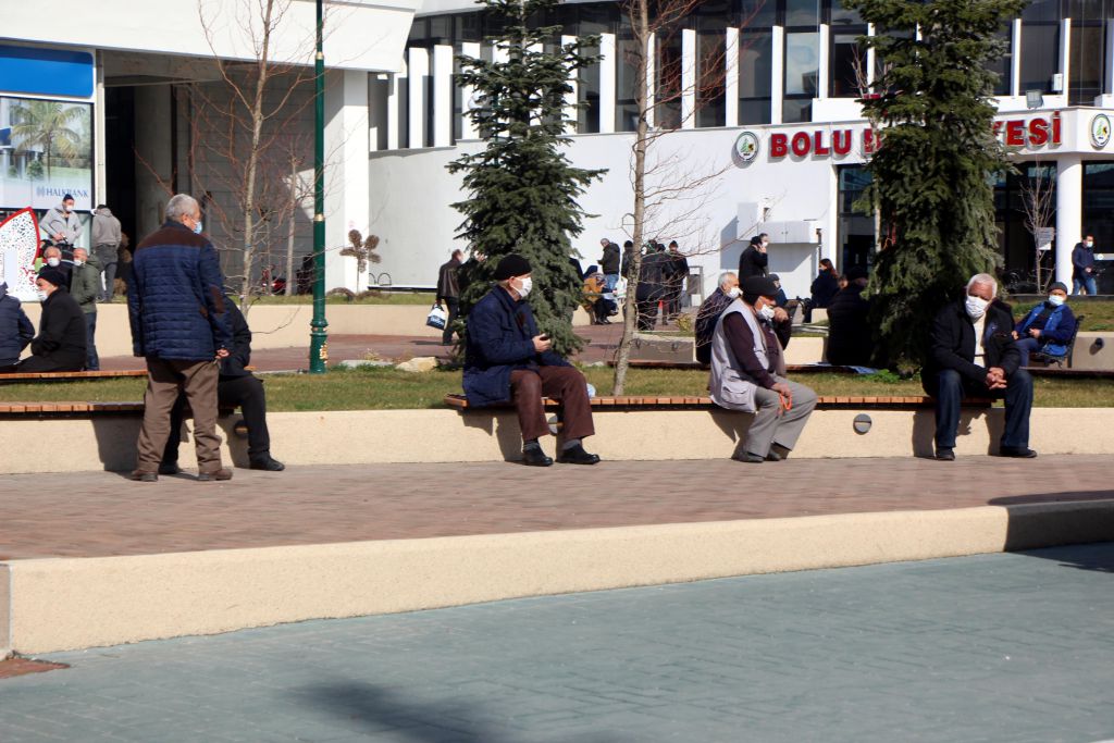 Ayı heykeli Bolu'yu ikiye böldü