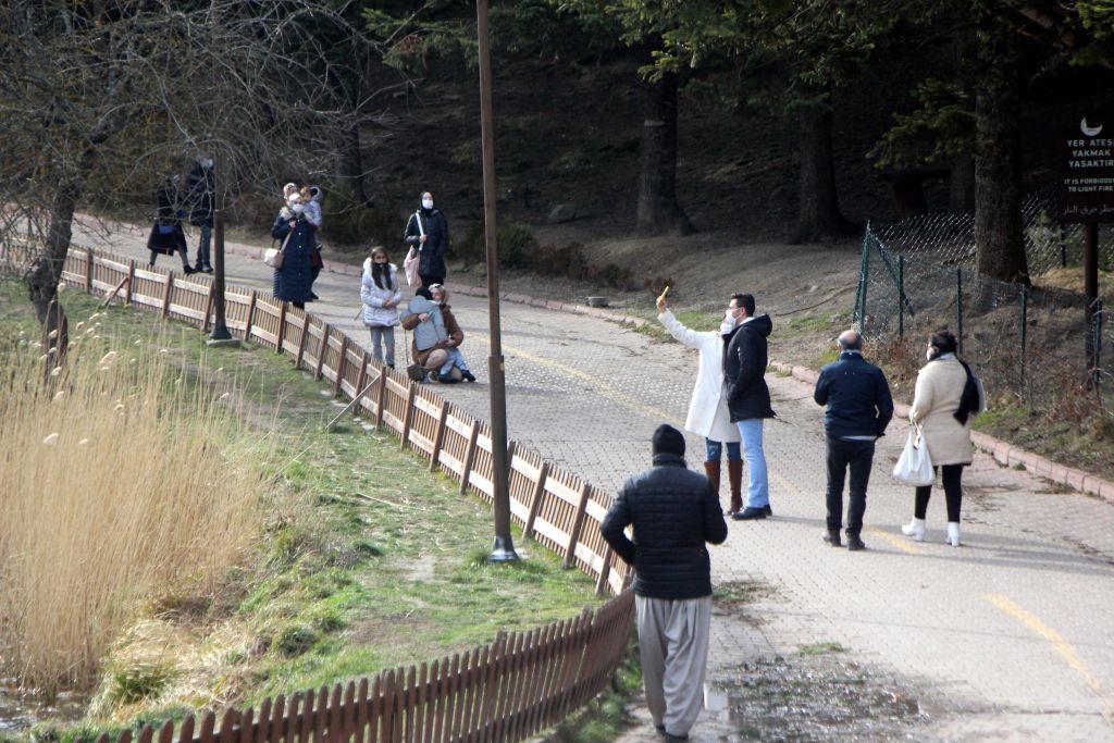 Bolu'nun incisi hafta içi değil, hafta içi ilgi görüyor