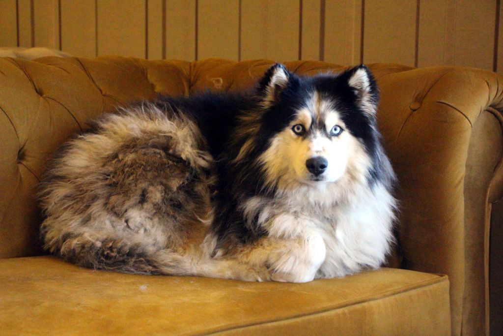 Buzları kıra kıra Lisa'yı kurtardılar