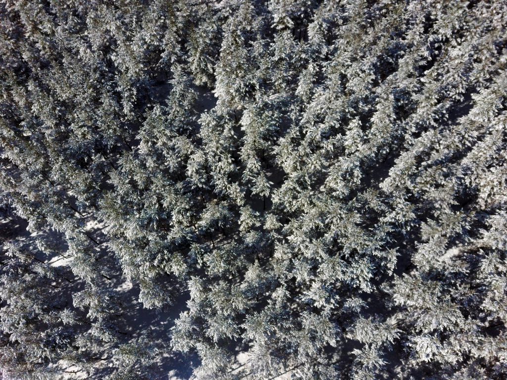 Hasar tespiti drone ile yapıldı