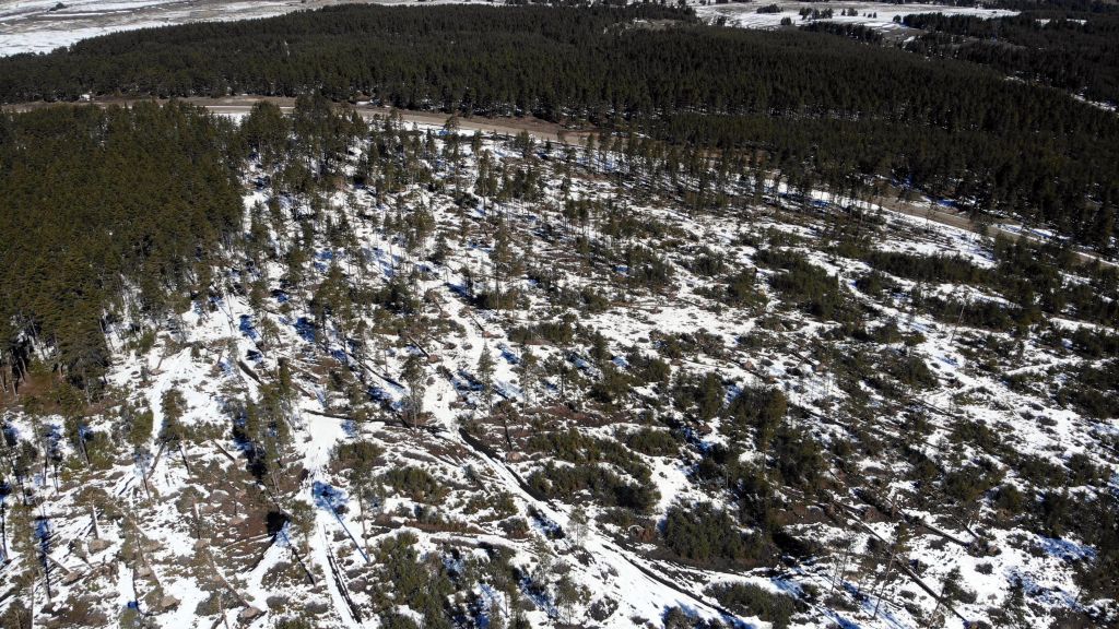 Fırtına yıktı geçti