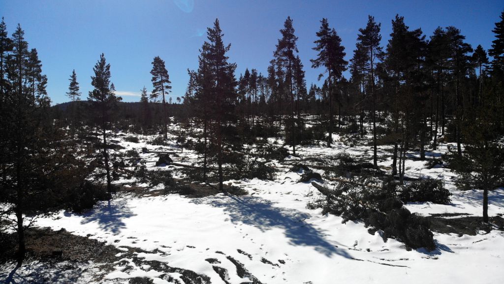 Fırtına yıktı geçti