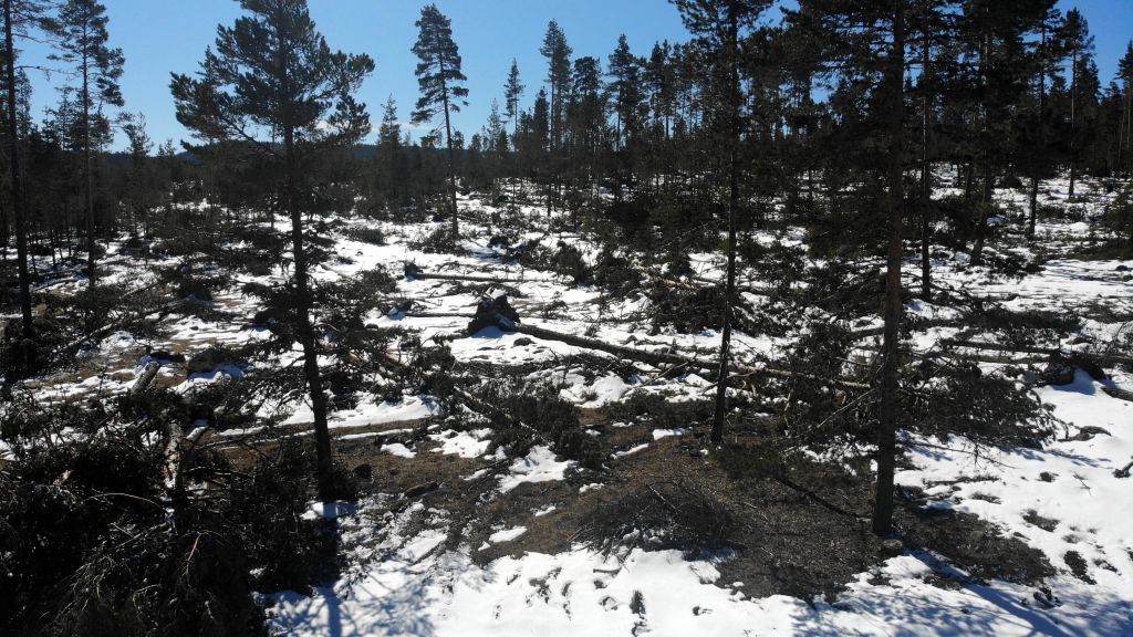 Fırtına yıktı geçti