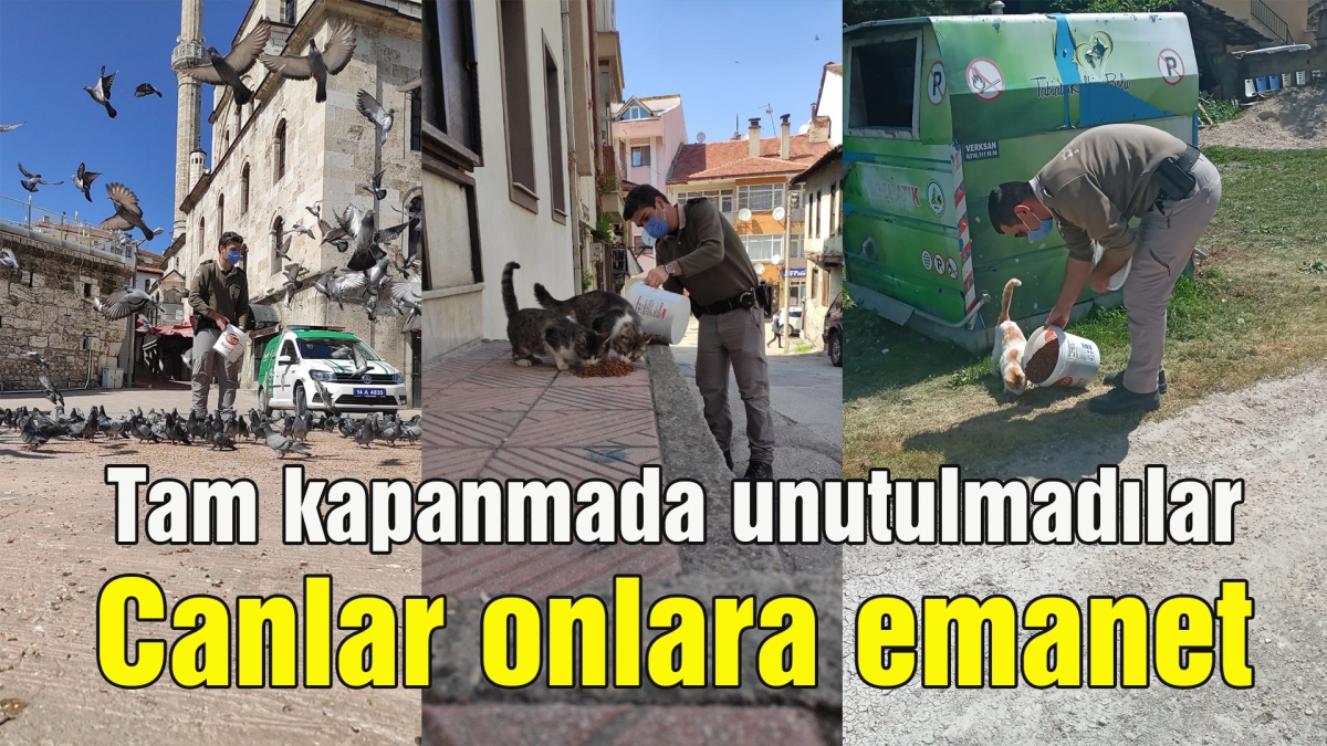 Canlar onlara emanet