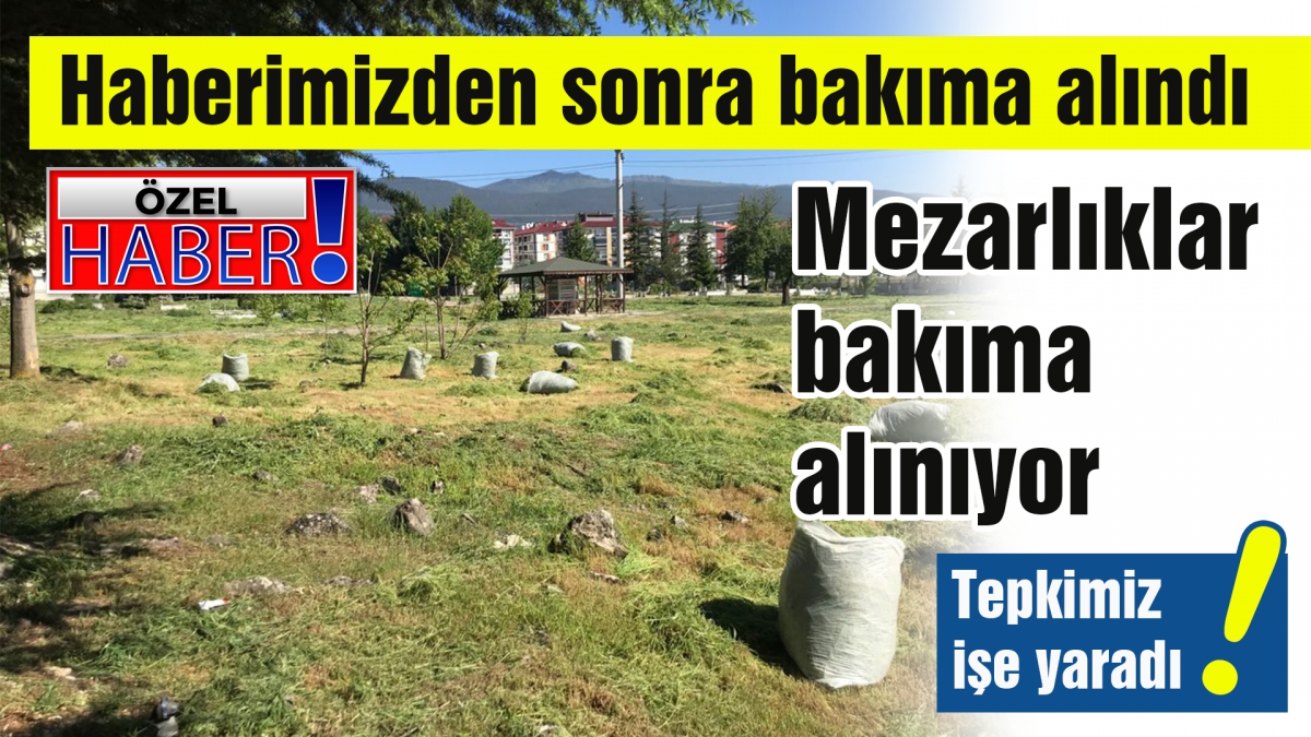 Mezarlıklar bakıma alınıyor