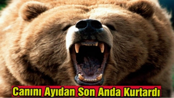 Ayı Saldırısına Uğrayan Çoban Yaralandı
