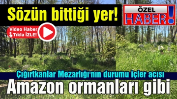 Çığırtkanlar Mezarlığı'nın durumu içler acısı