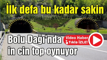 İlk defa bu kadar sakin