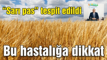 "Sarı pas" tespit edildi 