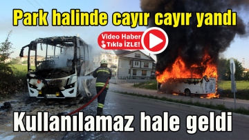 Park halinde cayır cayır yandı