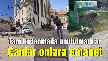 Canlar onlara emanet