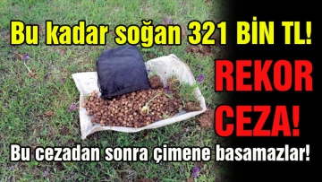 5 kilo soğan 321 Bin TL