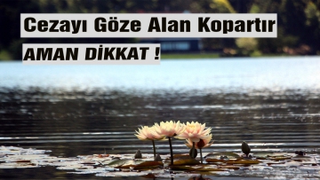 Cezayı Göze Alan Kopartır
