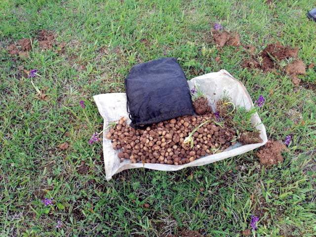 5 kilo soğan 321 Bin TL