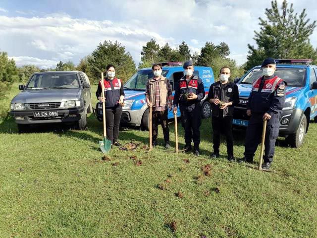 5 kilo soğan 321 Bin TL