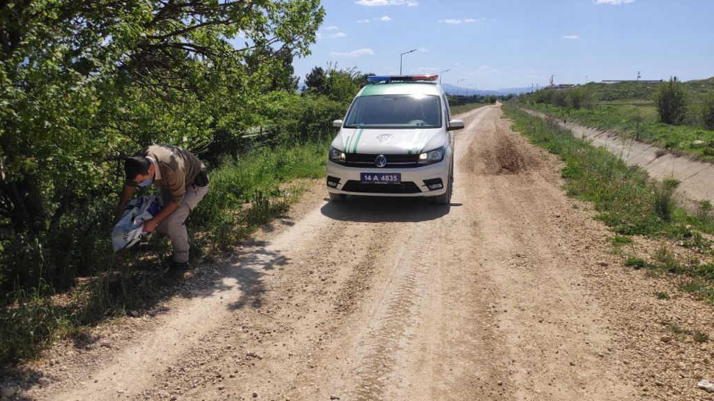 Canlar onlara emanet