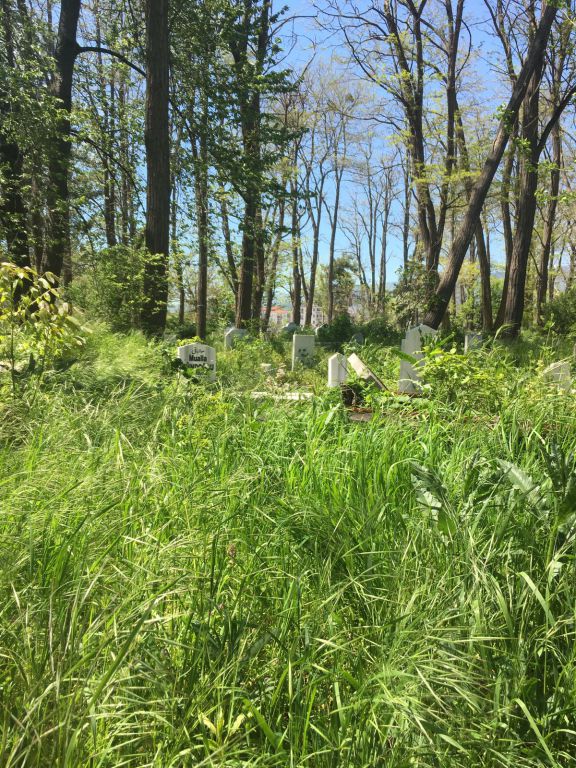 Çığırtkanlar Mezarlığı'nın durumu içler acısı