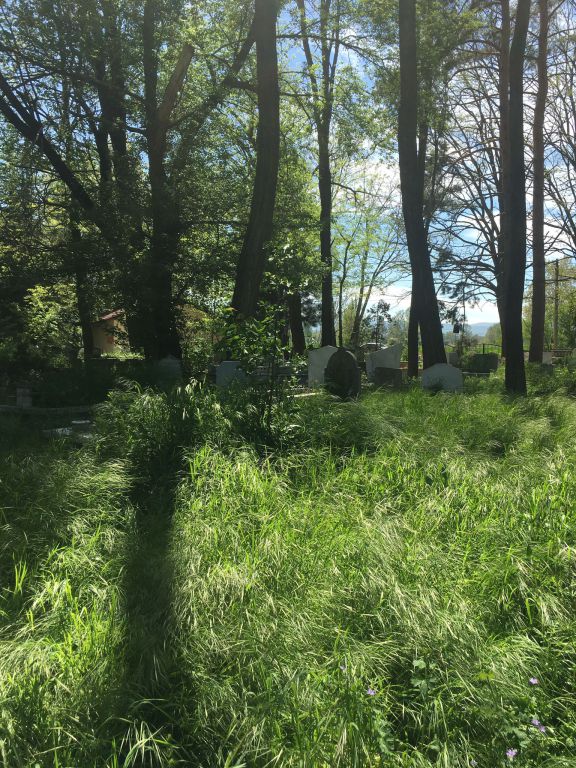 Çığırtkanlar Mezarlığı'nın durumu içler acısı