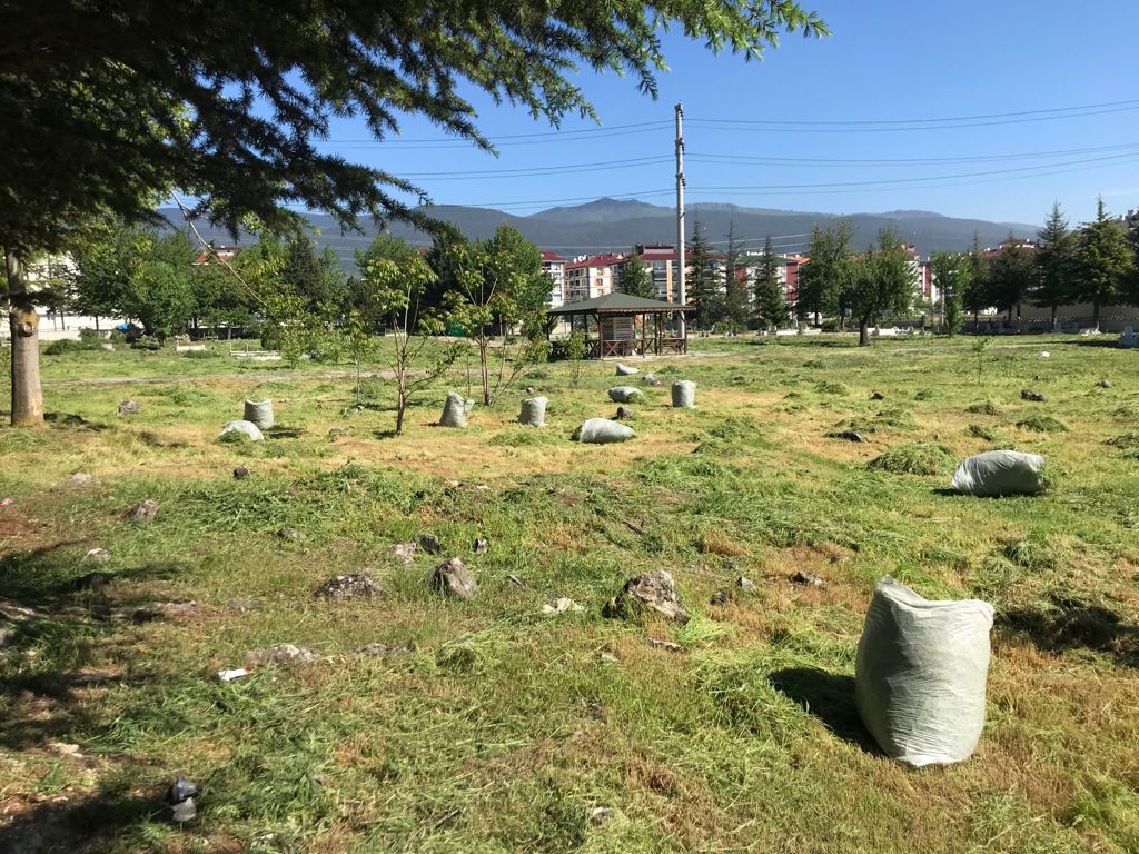 Mezarlıklar bakıma alınıyor