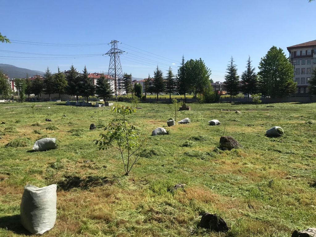 Mezarlıklar bakıma alınıyor