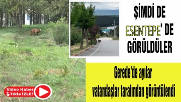 Şimdi de Esentepe'de görüldüler