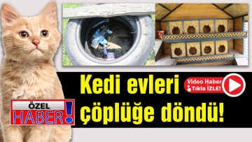 Kedi evleri çöplüğe döndü