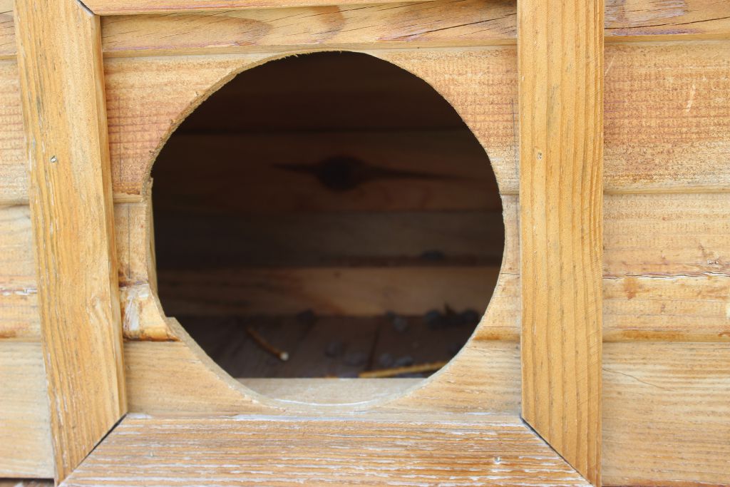 Kedi evleri çöplüğe döndü