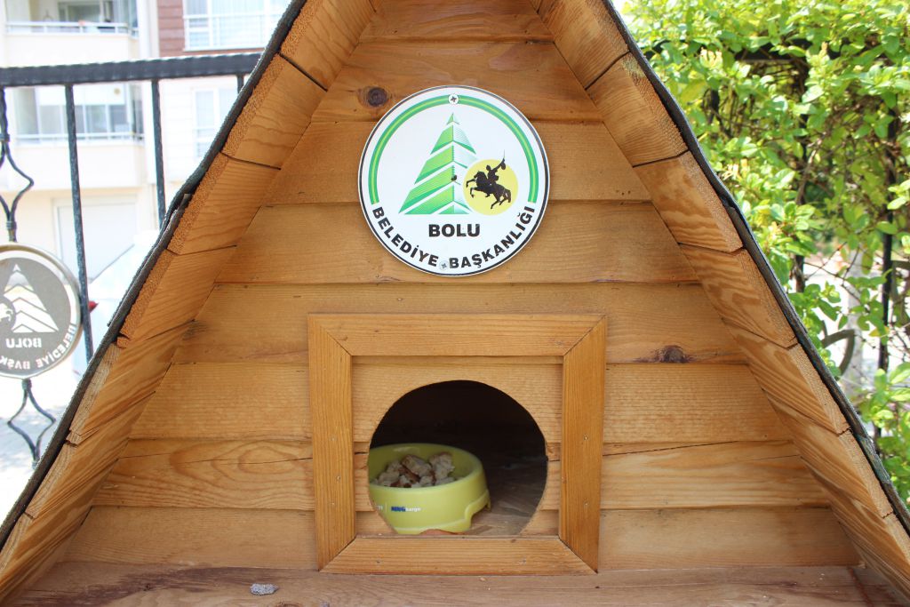 Kedi evleri çöplüğe döndü