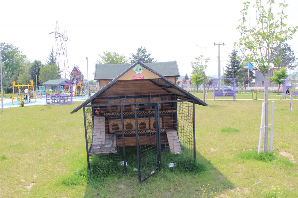 Kedi evleri çöplüğe döndü