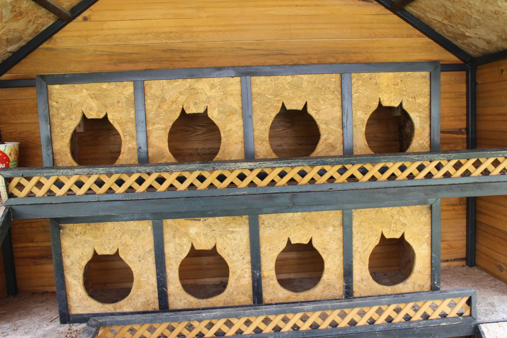 Kedi evleri çöplüğe döndü