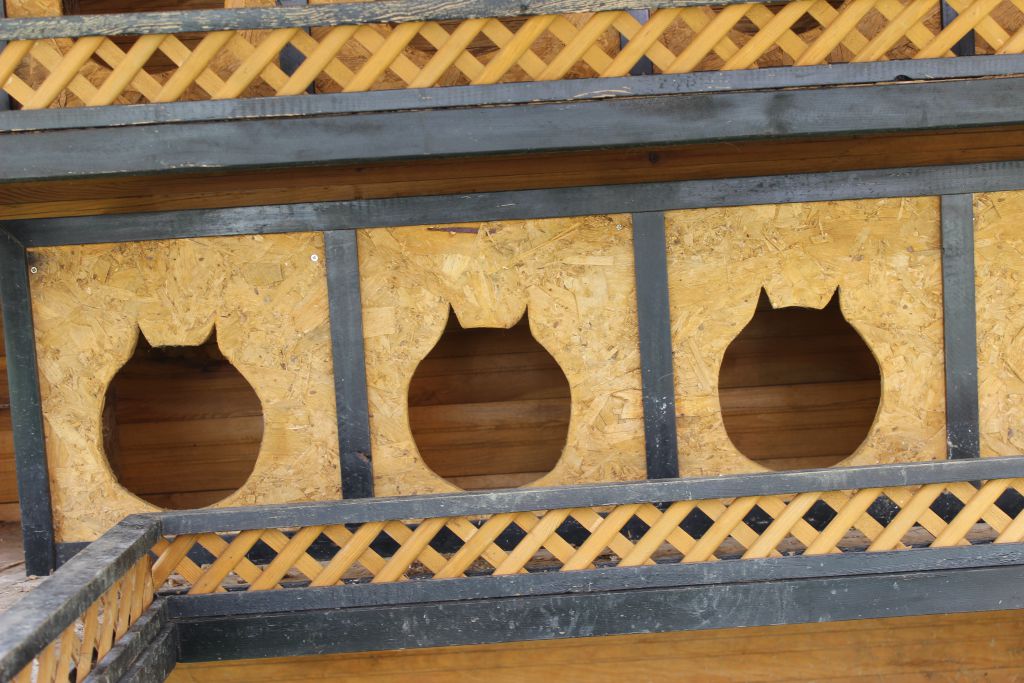 Kedi evleri çöplüğe döndü