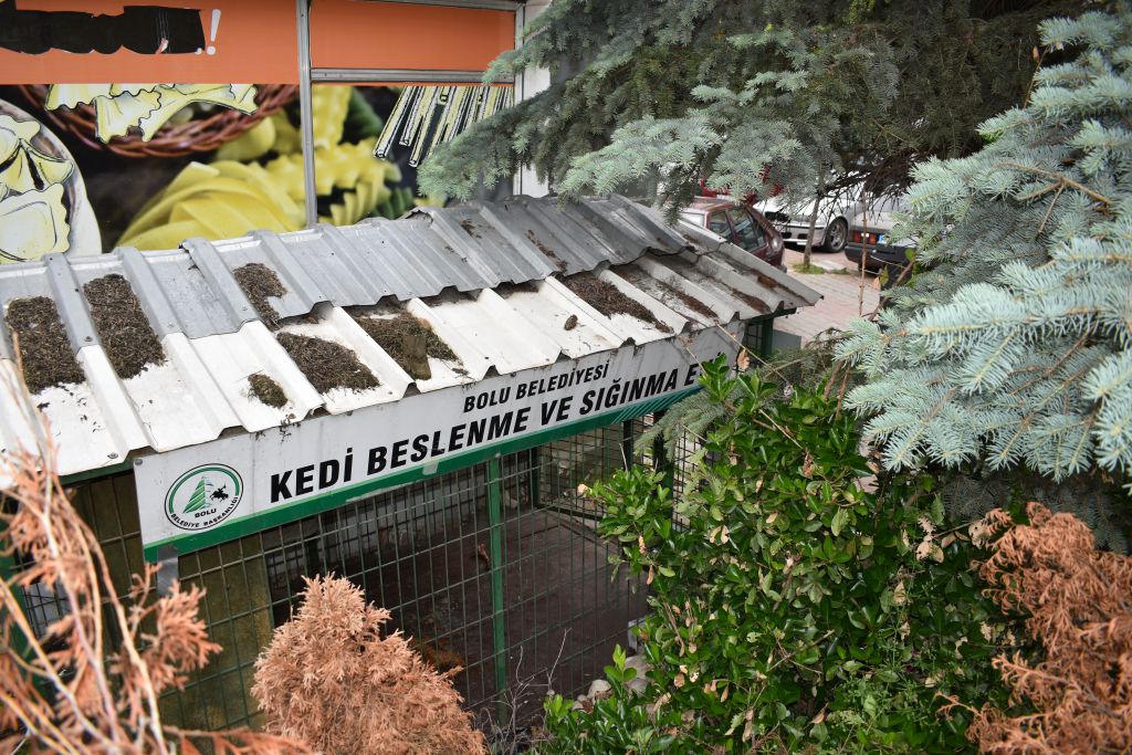 Kedi evleri çöplüğe döndü