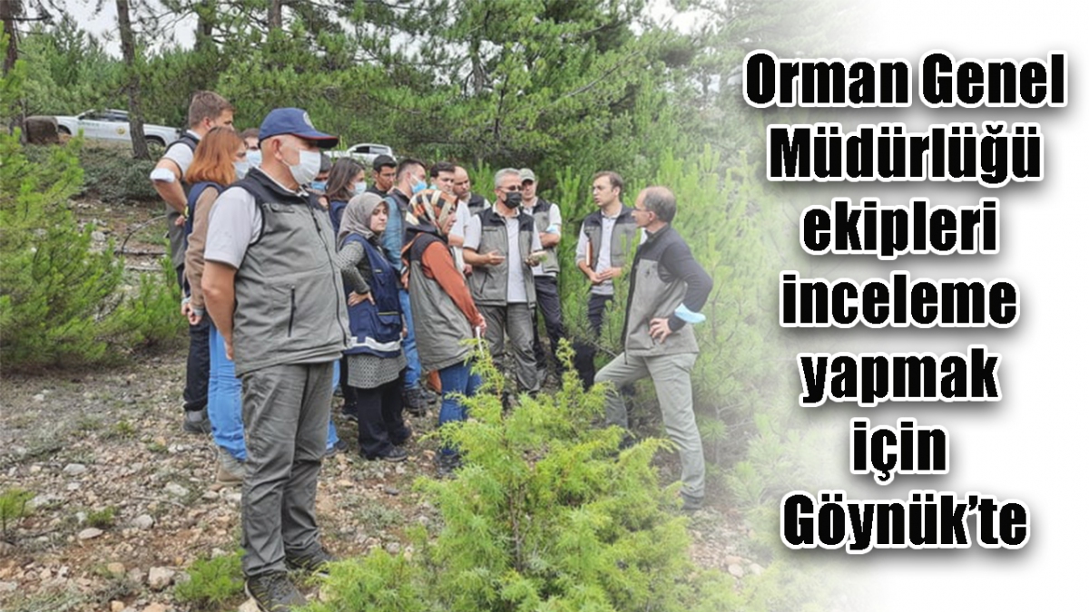 Orman Genel Müdürlüğü Göynük'te