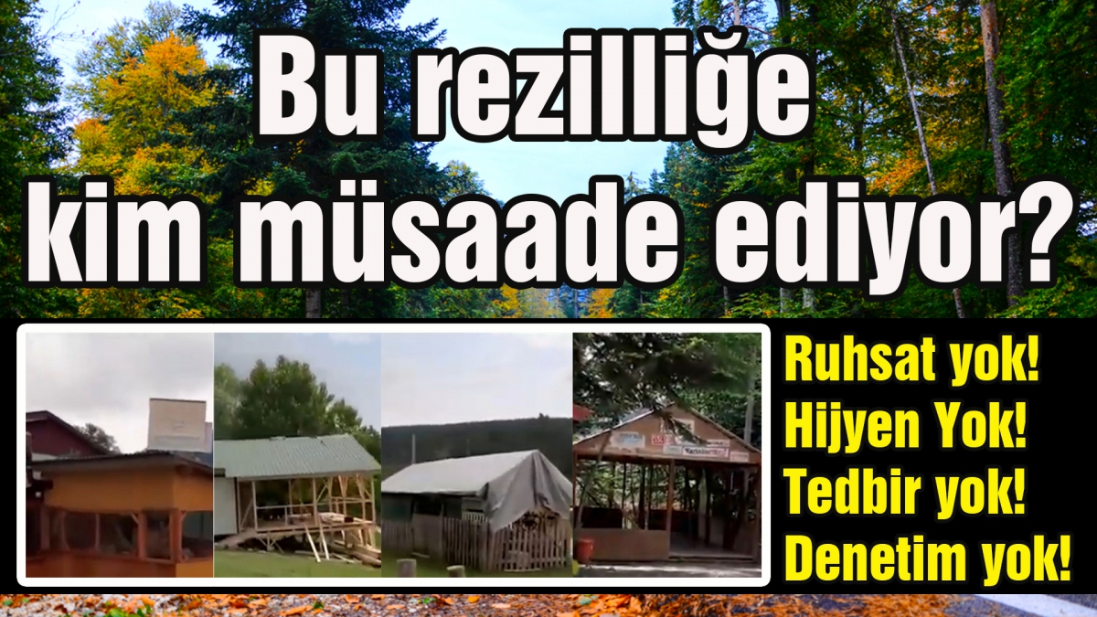 Bu rezilliğe kim müsaade ediyor?