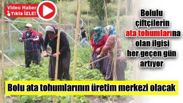 Bolu ata tohumlarının üretim merkezi olacak