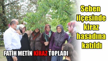 Fatih Metin kiraz topladı 