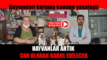 Hayvanlar artık can olarak kabul edilecek 
