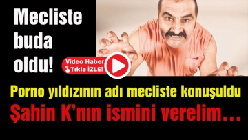 Porno yıldızının adı mecliste konuşuldu
