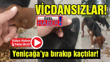 Yeniçağa'ya bırakıp kaçtılar
