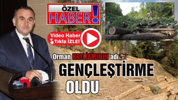 Orman katliamının adı GENÇLEŞTİRME oldu!