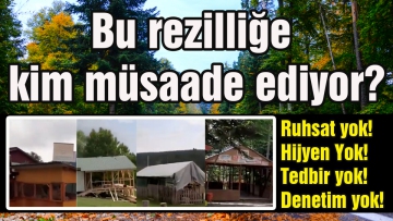 Bu rezilliğe kim müsaade ediyor?