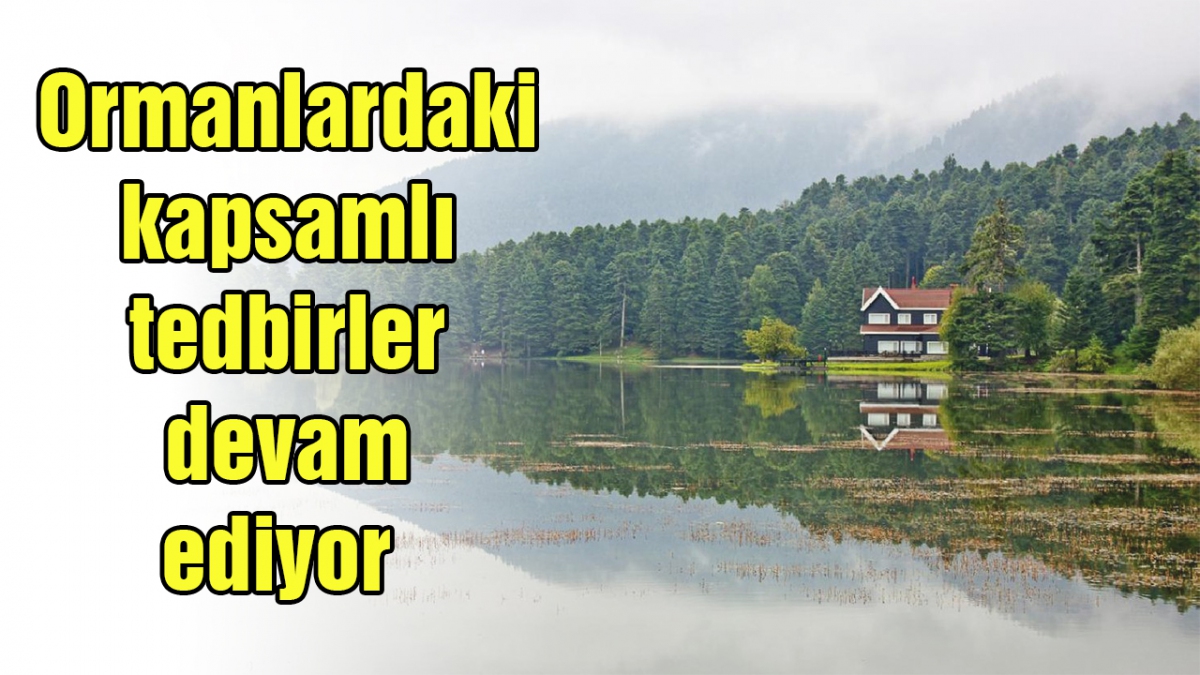 Ormanlardaki kapsamlı tedbirler devam ediyor