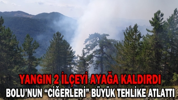 Orman yangınında 1 hektarlık alan zarar gördü