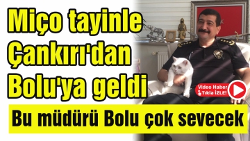 Miço tayinle Çankırı'dan Bolu'ya geldi