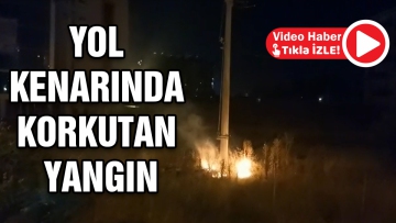Yol kenarında korkutan yangın  