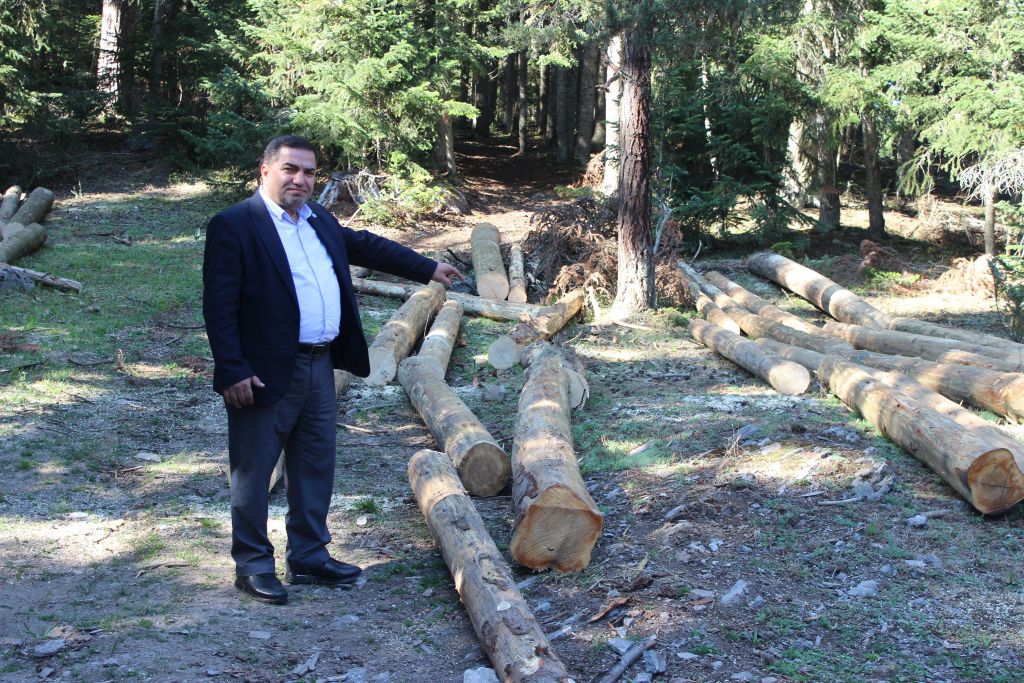 Bolulular ormanına sahip çıkmalı