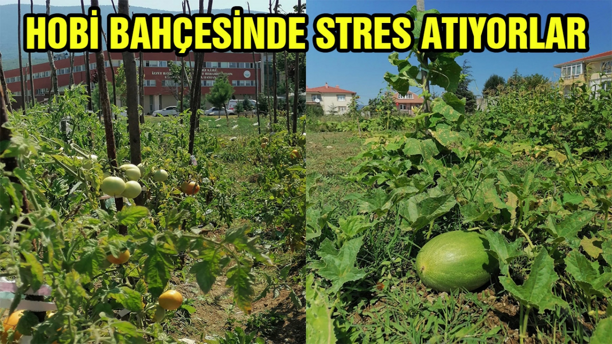 Hobi Bahçesi'nde stres atıyorlar