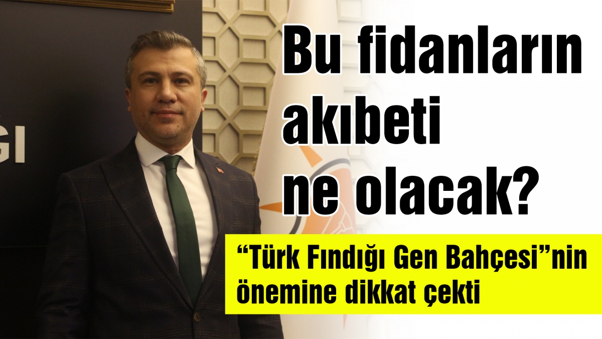 Bu fidanların akıbeti ne olacak?