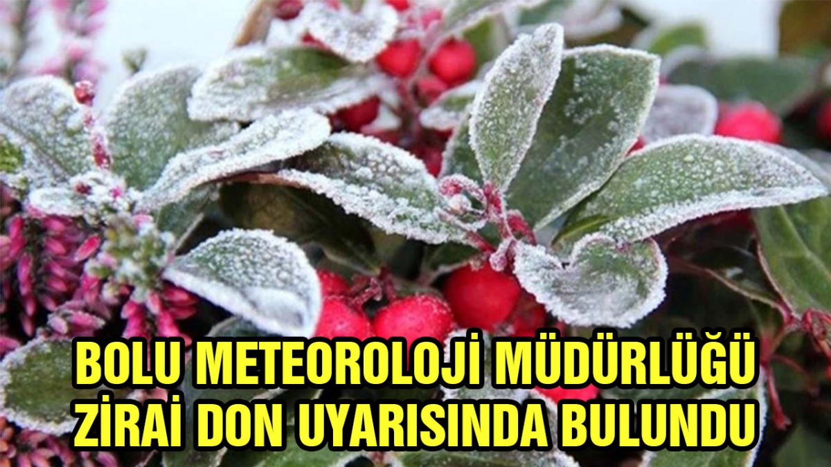 Zirai don uyarısı yapıldı